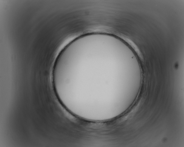 X0000102471285200808081000