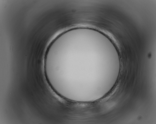 X0000102471286200808081000