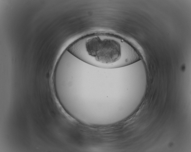 X0000102471287200808081000