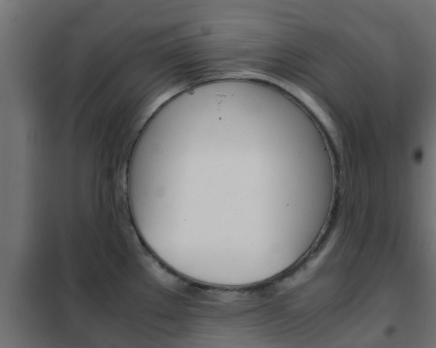 X0000102471289200808081000