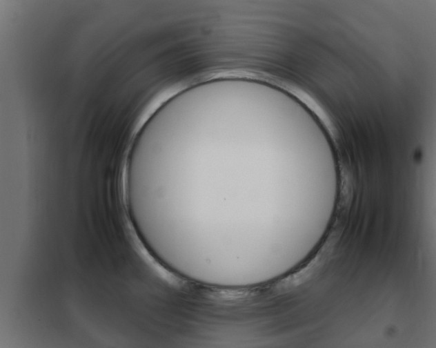 X0000102471290200808081000