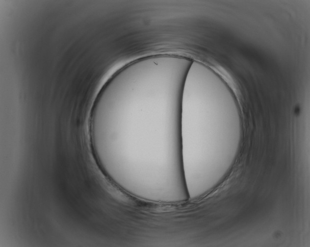 X0000102471291200808081000