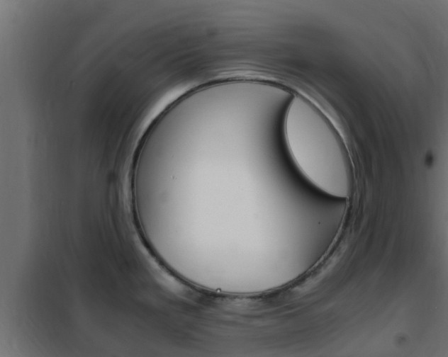 X0000102471293200808081000