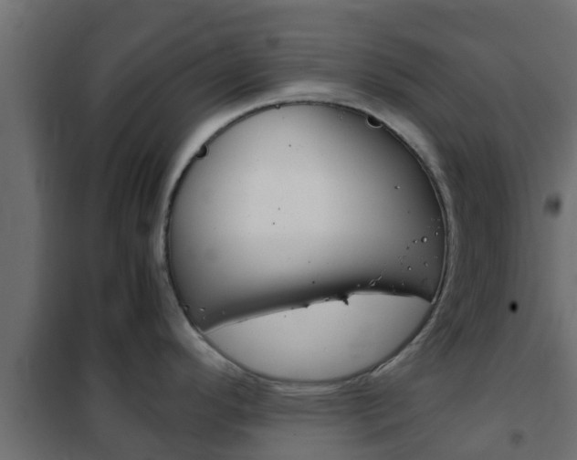 X0000102471296200808081000