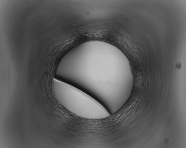 X0000102471297200808080959