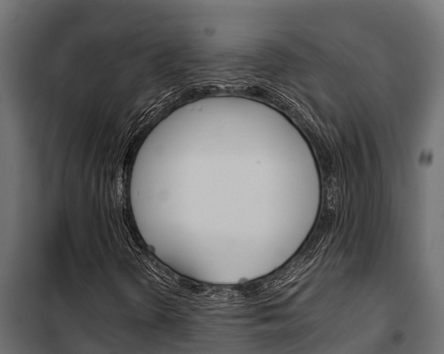X0000102471298200808080959