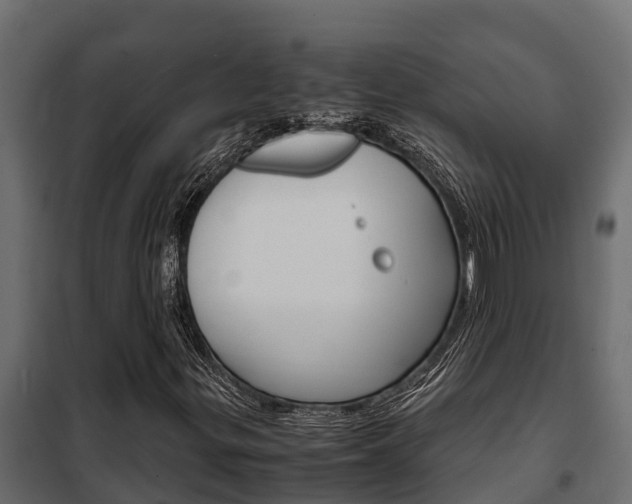 X0000102471299200808080959