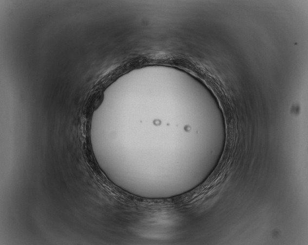 X0000102471301200808080959