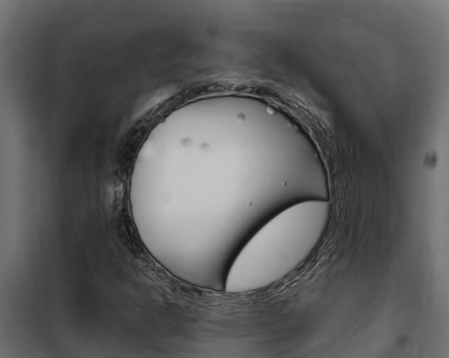 X0000102471302200808080959