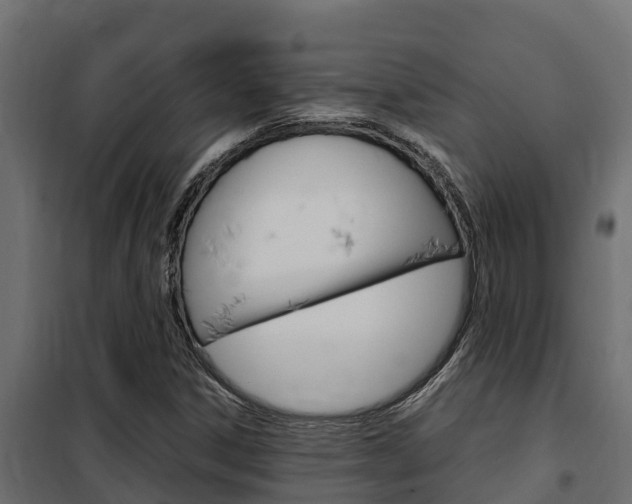 X0000102471306200808080959