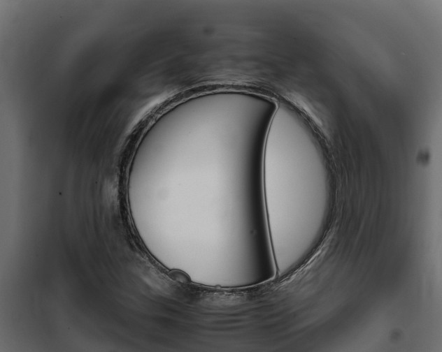 X0000102471307200808080959