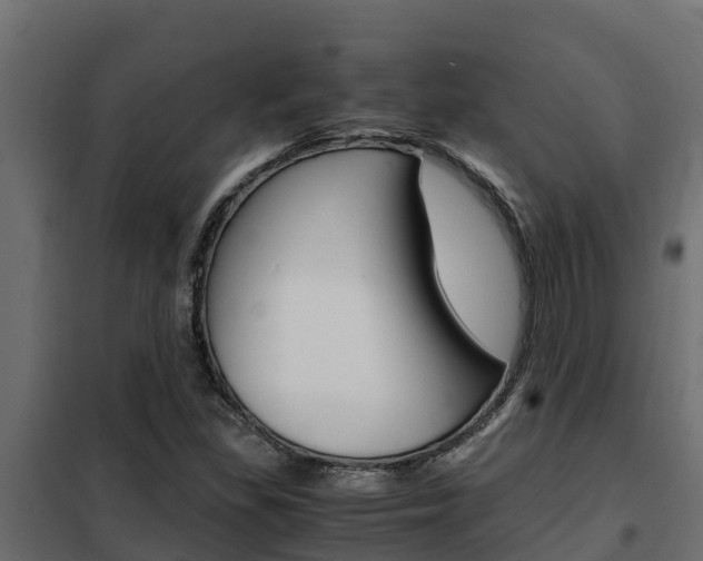 X0000102471309200808080959