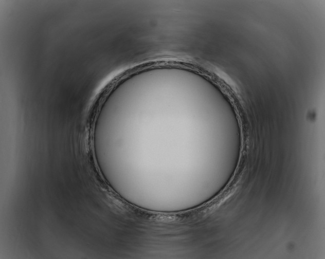X0000102471310200808080959