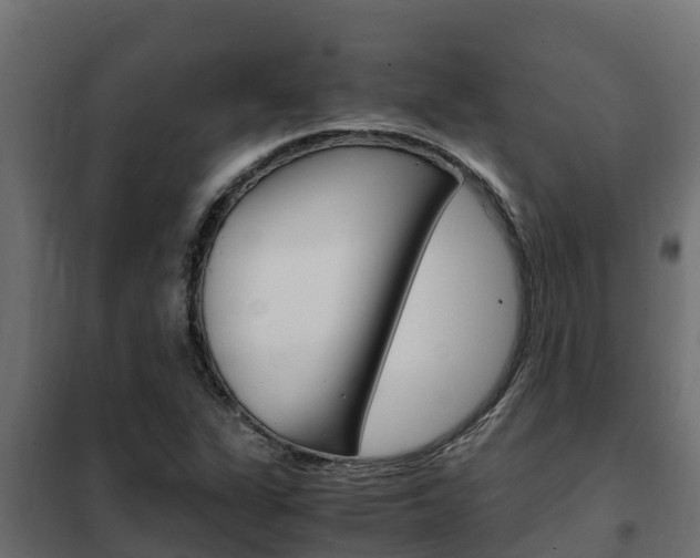 X0000102471311200808080959