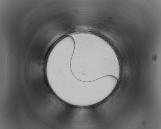 X0000102471314200808080959
