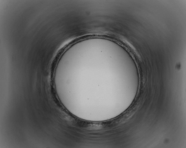 X0000102471315200808080959