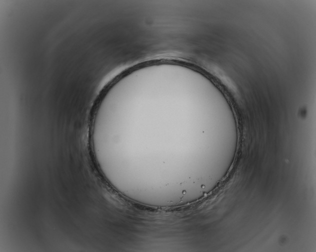 X0000102471316200808080959