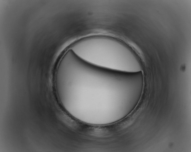 X0000102471318200808080959