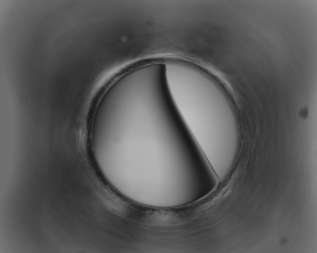 X0000102471319200808080959