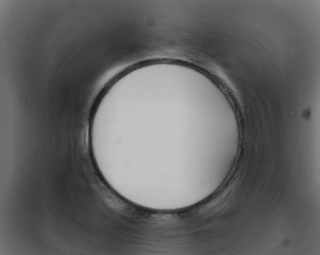 X0000102471320200808081000