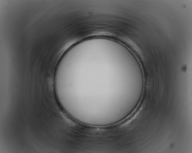 X0000102471321200808081000