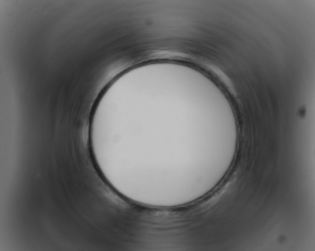X0000102471322200808081000