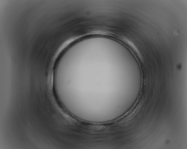 X0000102471323200808081000
