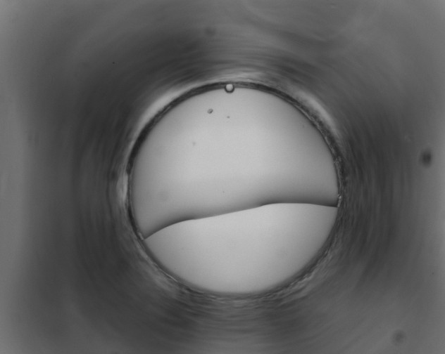 X0000102471324200808081000