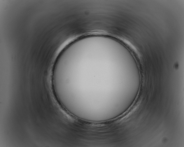 X0000102471325200808081000