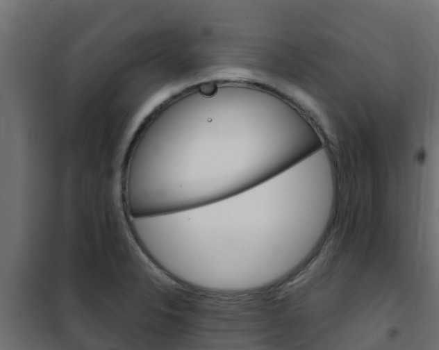 X0000102471326200808081000