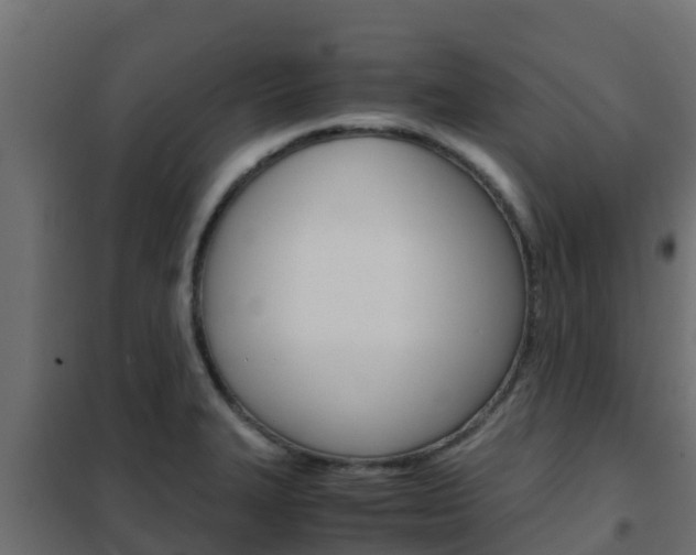X0000102471327200808081000