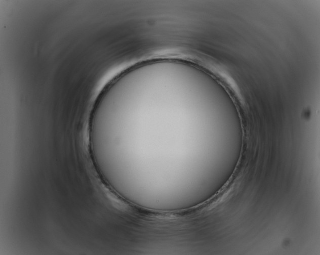 X0000102471328200808081000