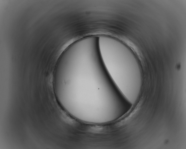X0000102471329200808081000