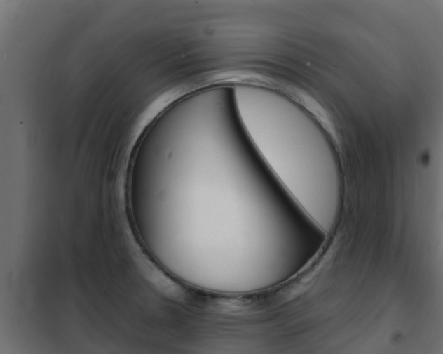 X0000102471330200808081000