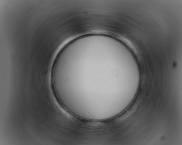 X0000102471331200808081000