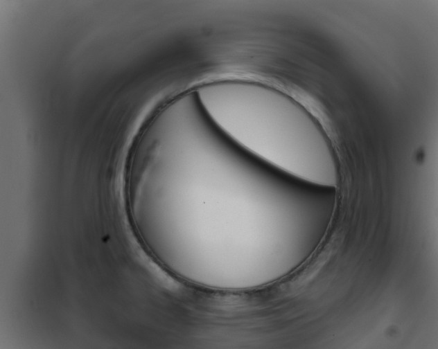 X0000102471334200808081000