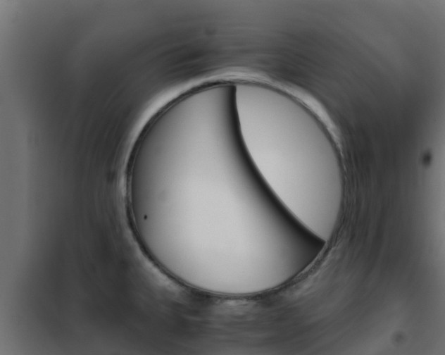 X0000102471335200808081000