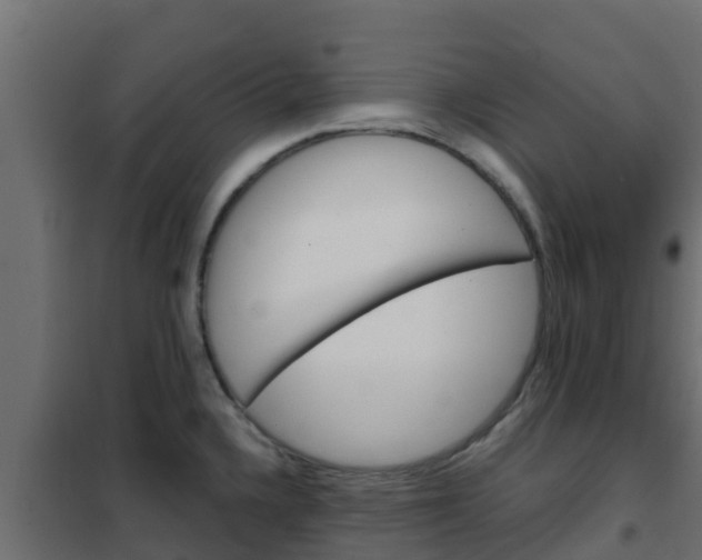 X0000102471336200808081000