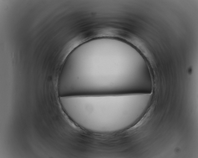 X0000102471337200808081000