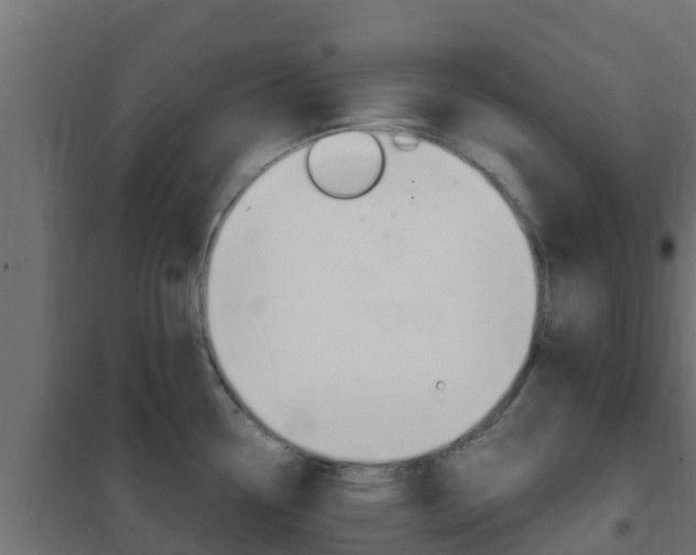 X0000102471338200808081000