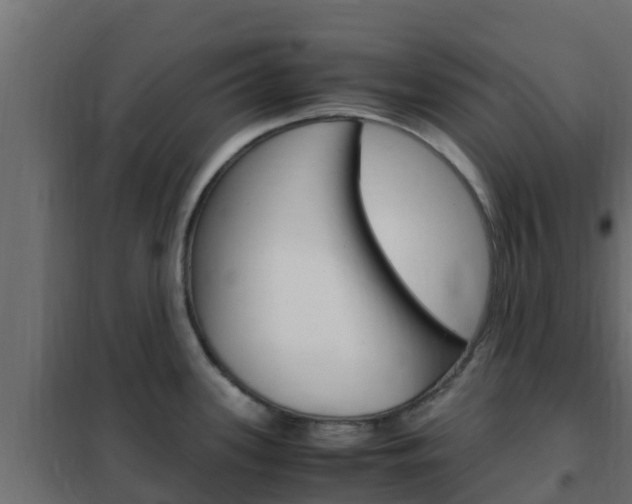 X0000102471339200808081000
