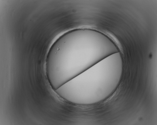 X0000102471340200808081000