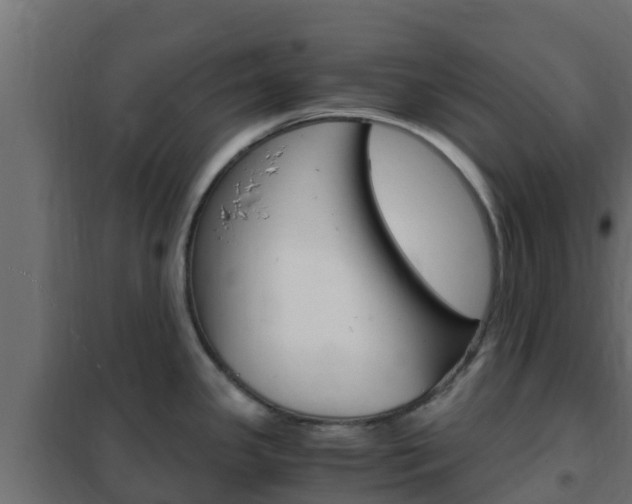 X0000102471341200808081000