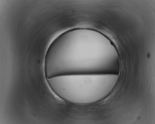 X0000102471343200808081000