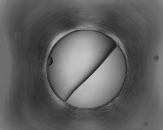 X0000102471344200808081000