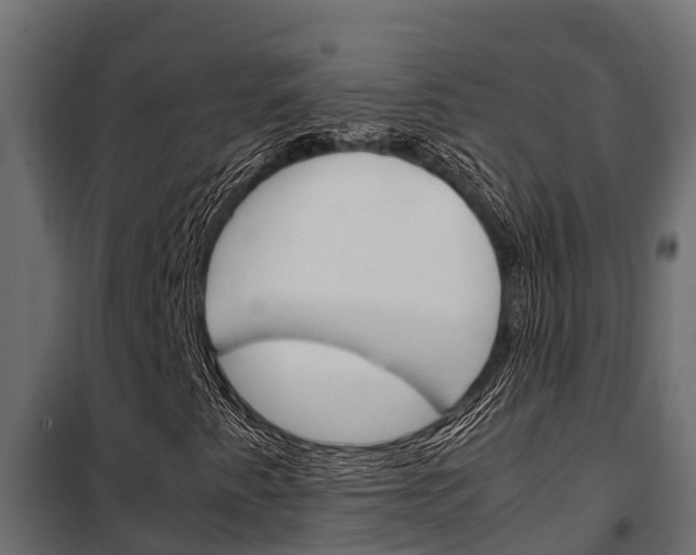 X0000102471345200808080959