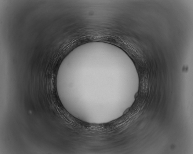 X0000102471346200808080959