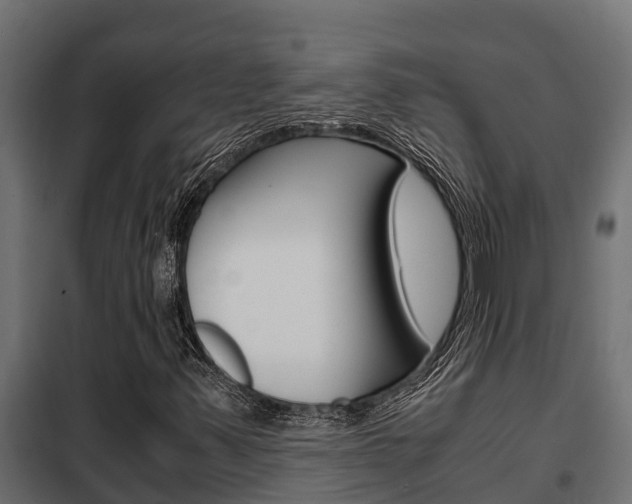 X0000102471347200808080959