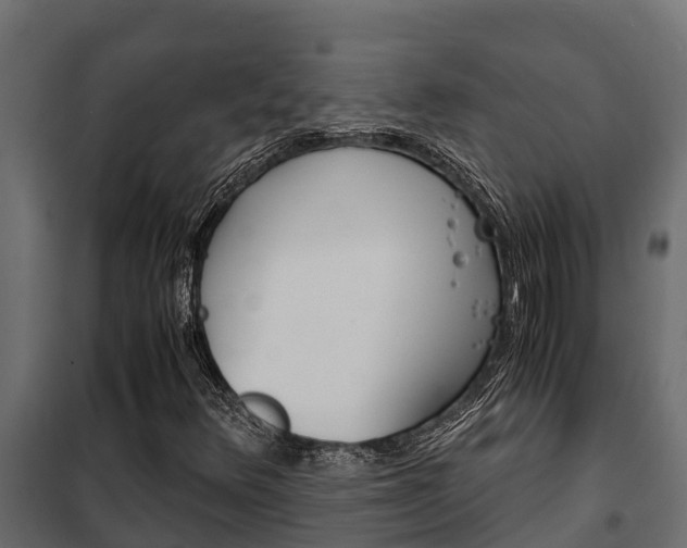 X0000102471348200808080959