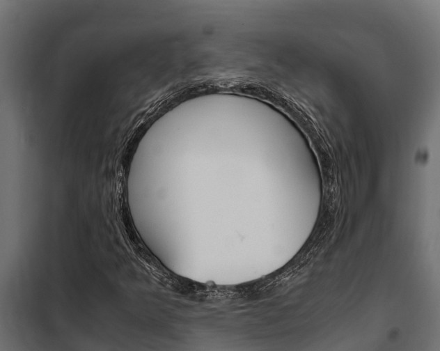 X0000102471349200808080959